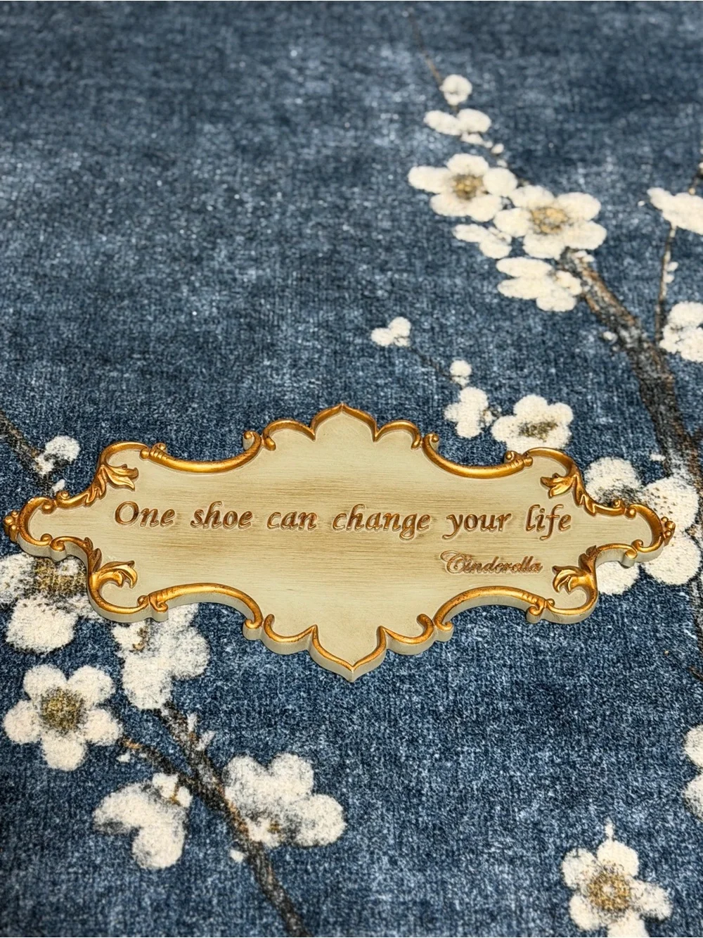 Disney Cinderella “One Shoe Can Change Your Life” 16